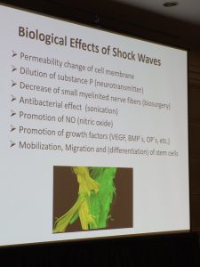 Presentation slide titled Biological Effects of Shock Waves lists effects like cell membrane permeability, neurotransmitter dilution, antibacterial effect, and includes a green and yellow microscopic image of biological tissue.
